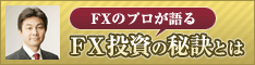 FX̃vFX̔錍Ƃ